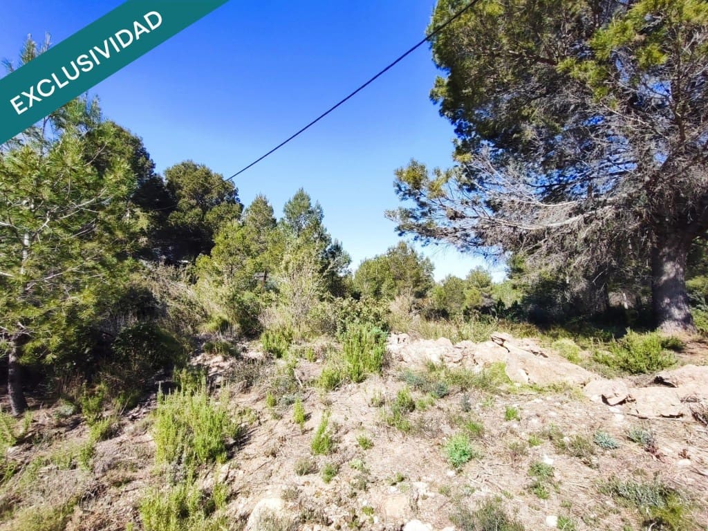 Mark till salu i Alfara d'Algimia - 20 000 € (Ref: 9996789)
