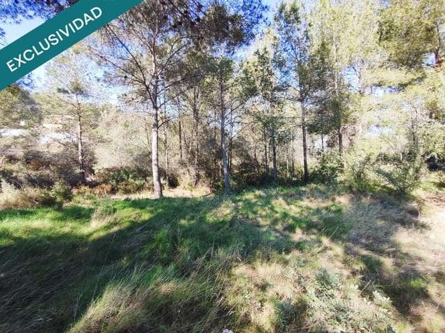 Mark till salu i Alfara d'Algimia - 20 000 € (Ref: 9996789)