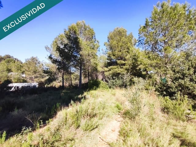 Mark till salu i Alfara d'Algimia - 20 000 € (Ref: 9996789)