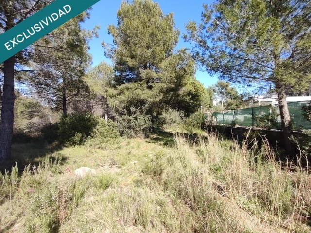 Mark till salu i Alfara d'Algimia - 20 000 € (Ref: 9996789)