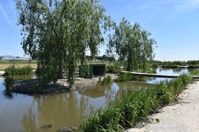 Finca/Casa Rural de 3 habitaciones en Amposta en venta con piscina garaje - 569.900 € (Ref: 9996795)