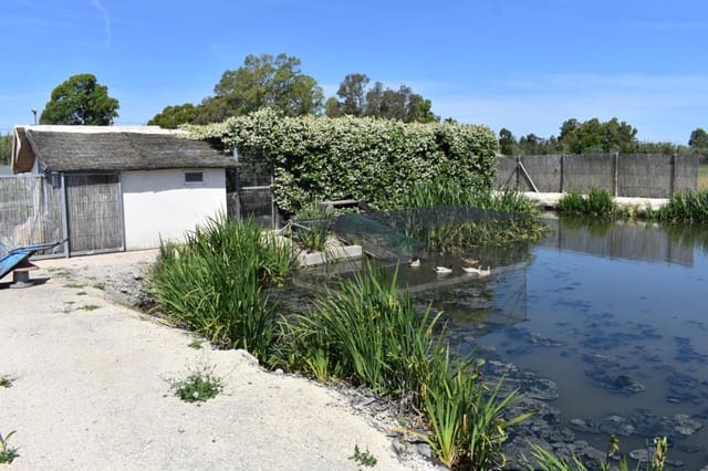 Finca/Casa Rural de 3 habitaciones en Amposta en venta con piscina garaje - 569.900 € (Ref: 9996795)