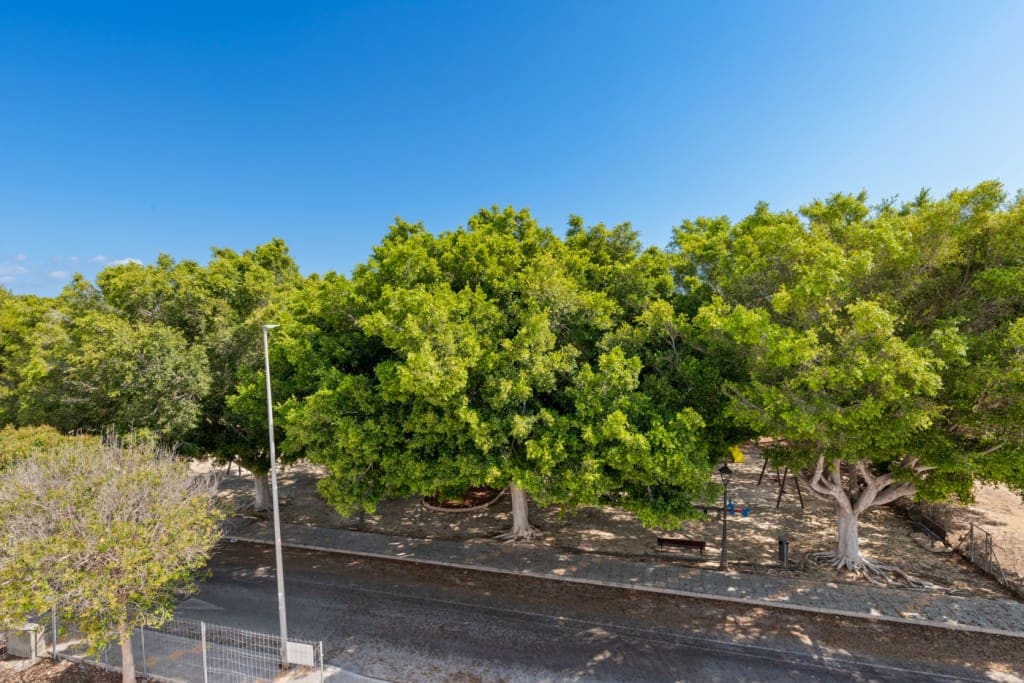 4 soverom Villa til salgs i Pilar de la Horadada - € 729 900 (Ref: 9996819)