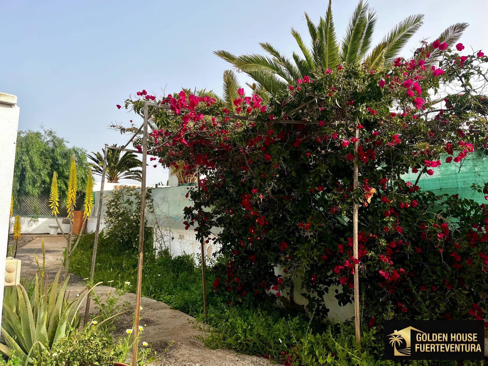 3 makuuhuone Huvila myytävänä paikassa La Oliva mukana uima-altaan 
autotalli - 440 000 € (Ref: 7770454)