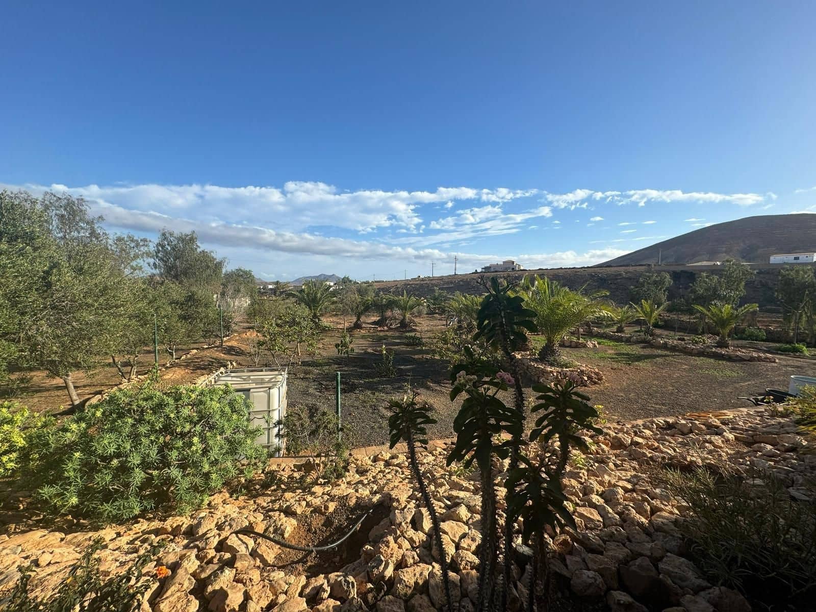 3 soveværelse Villa til salg i Tuineje med swimmingpool - € 469.000 (Ref: 8826073)