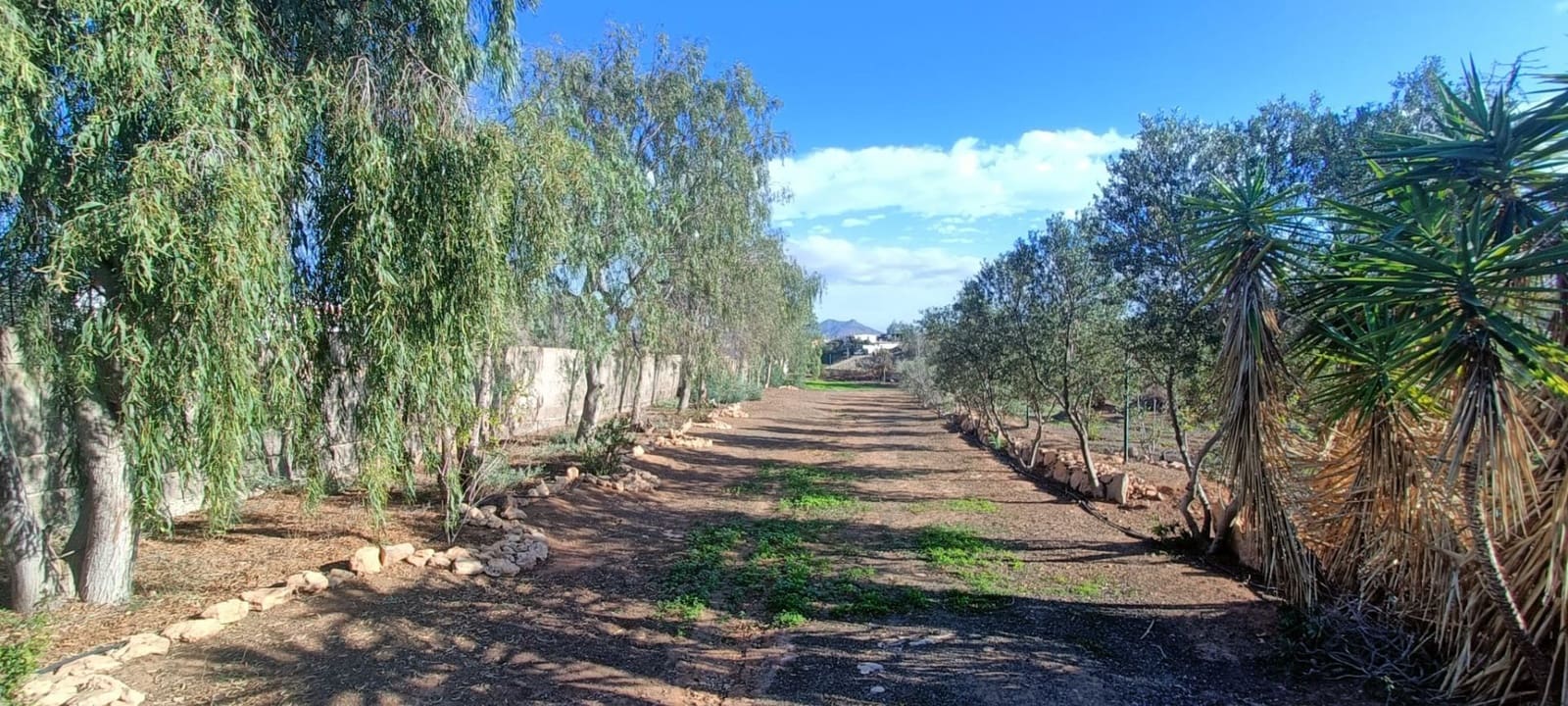 3 soveværelse Villa til salg i Tuineje med swimmingpool - € 469.000 (Ref: 8826073)