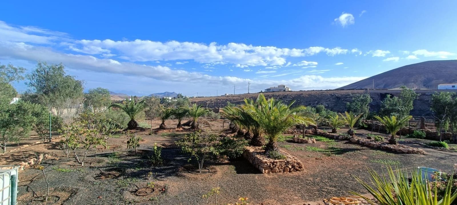 3 soveværelse Villa til salg i Tuineje med swimmingpool - € 469.000 (Ref: 8826073)