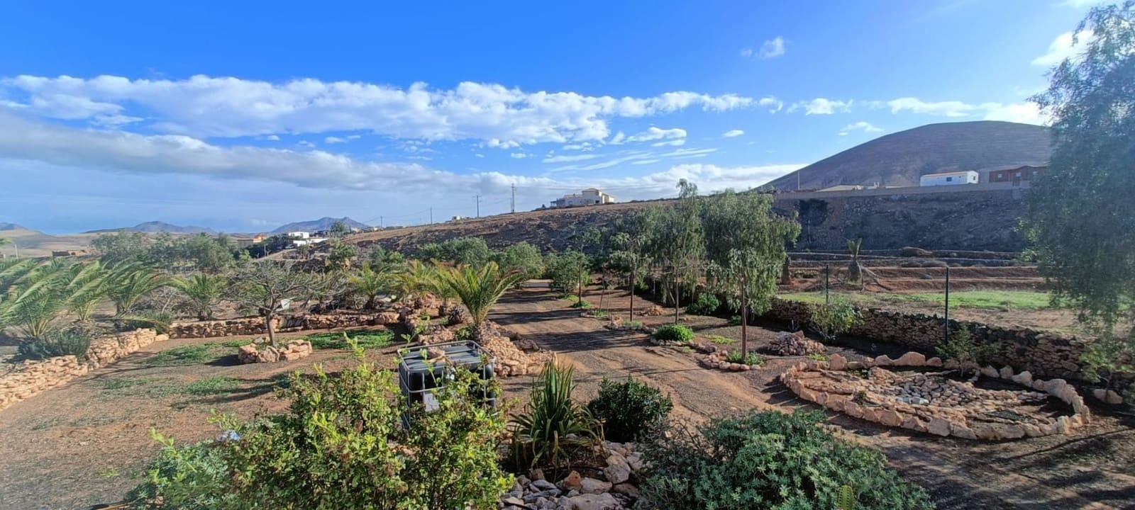 3 soveværelse Villa til salg i Tuineje med swimmingpool - € 469.000 (Ref: 8826073)