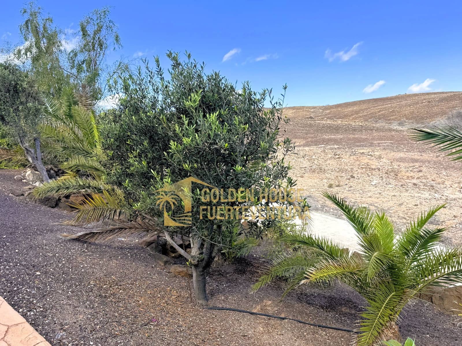 2 soveværelse Villa til salg i Parque Holandes med swimmingpool - € 550.000 (Ref: 9413645)