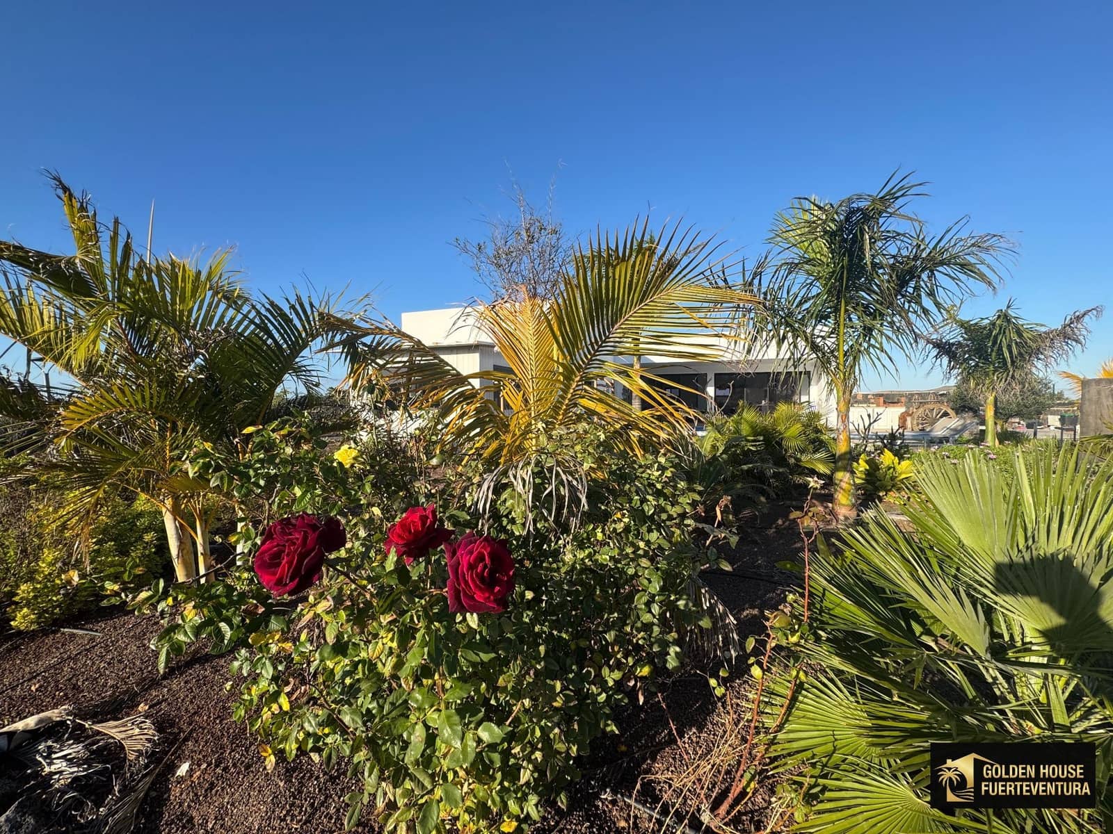 3 bedroom Villa for sale in Villaverde with pool garage - € 1,100,000 (Ref: 9851329)