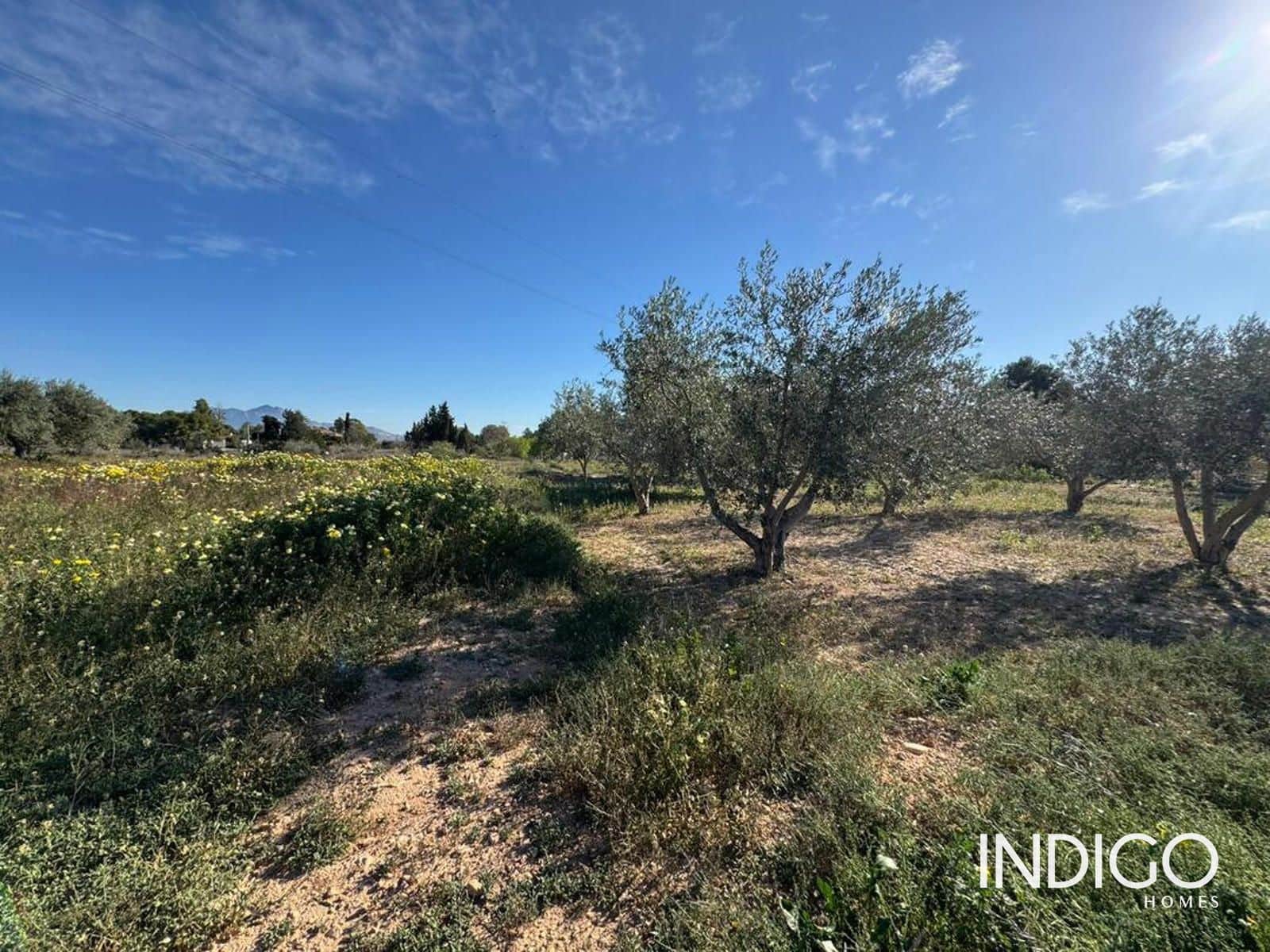 3 quarto Moradia para venda em San Vicente / Sant Vicent del Raspeig com piscina garagem - 480 000 € (Ref: 9632786)