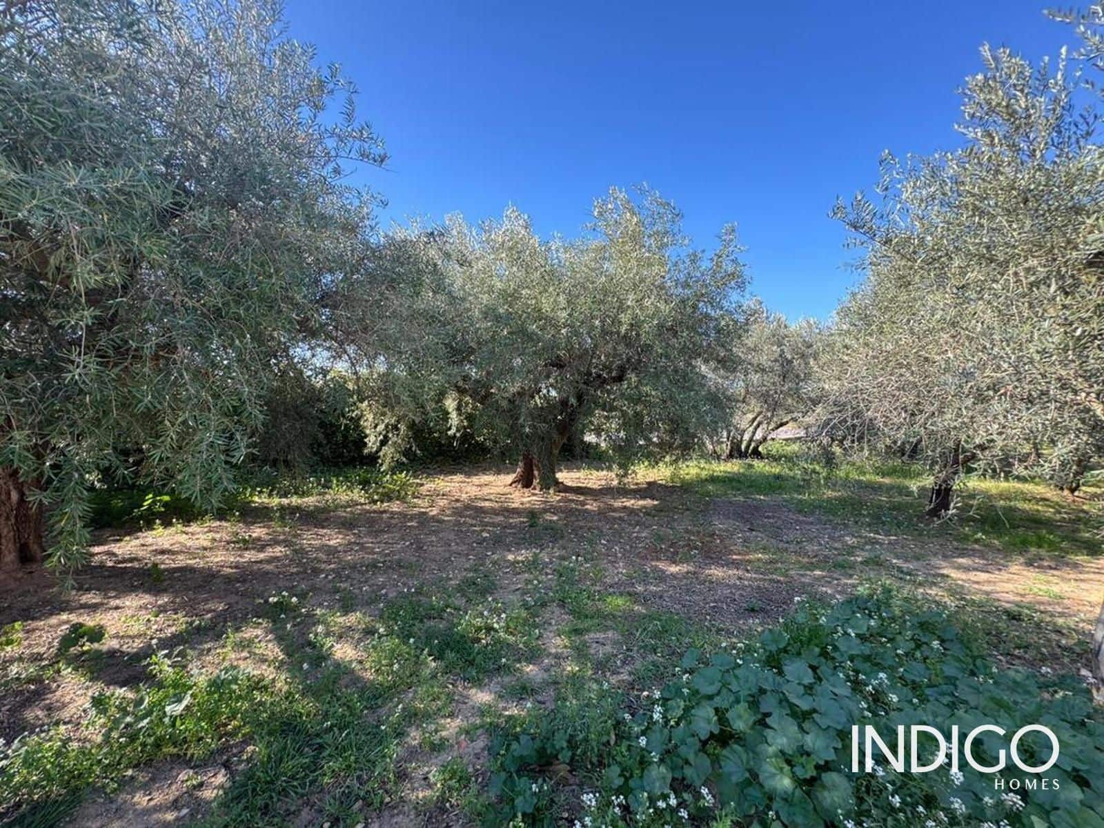 3 quarto Moradia para venda em San Vicente / Sant Vicent del Raspeig com piscina garagem - 480 000 € (Ref: 9632786)