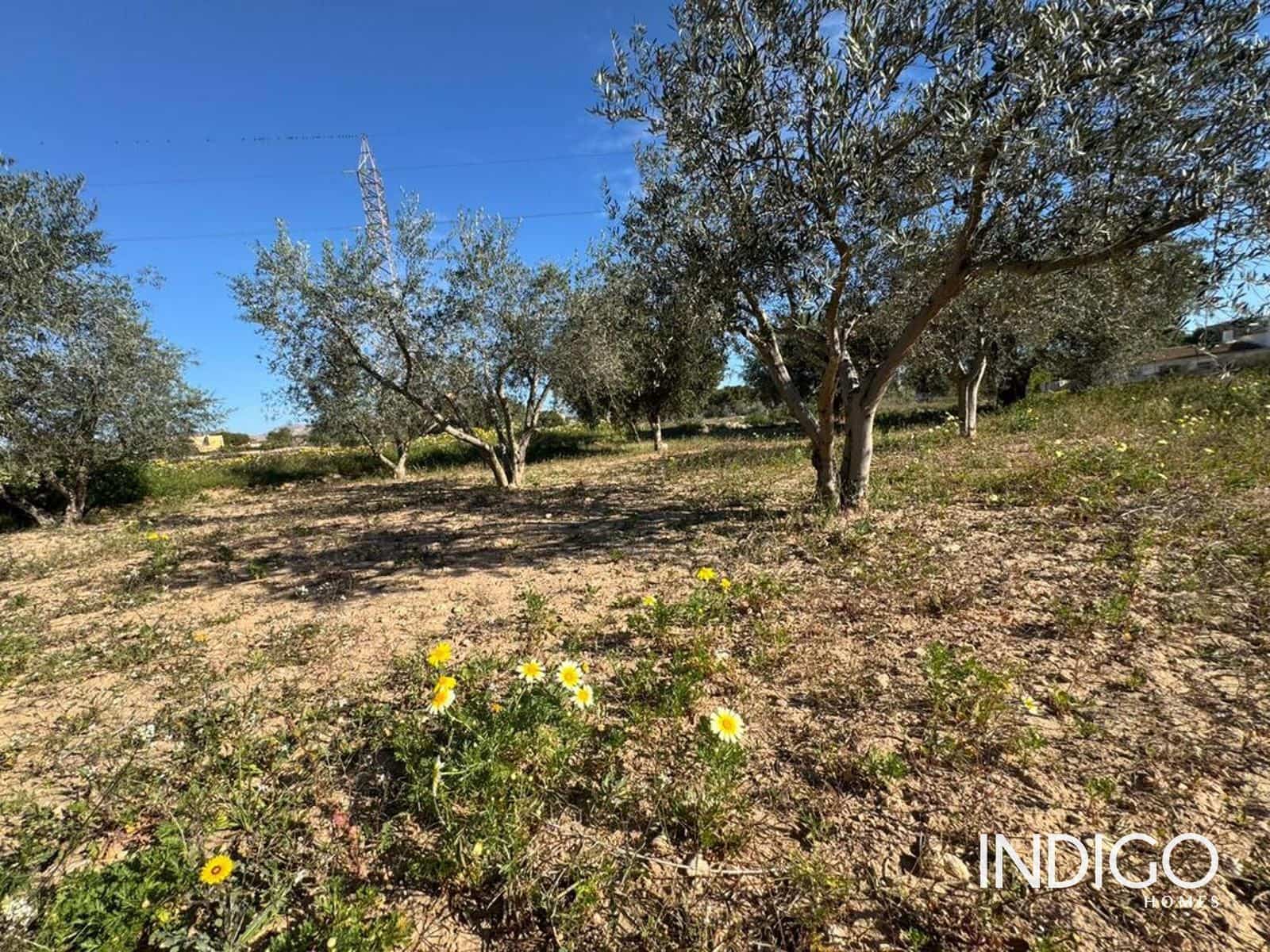 3 quarto Moradia para venda em San Vicente / Sant Vicent del Raspeig com piscina garagem - 480 000 € (Ref: 9632786)