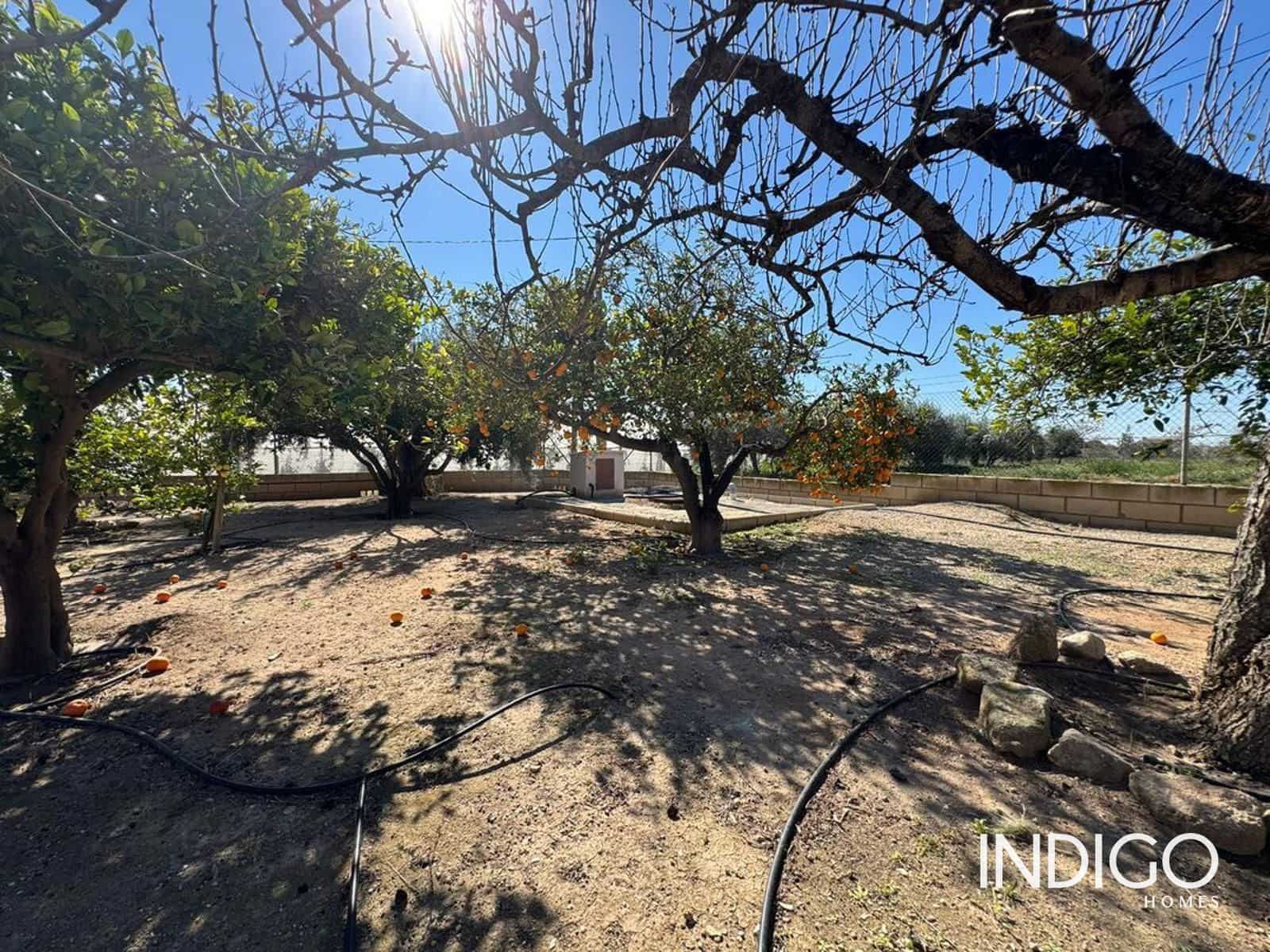 6 bedroom Villa for sale in San Vicente / Sant Vicent del Raspeig with pool garage - € 450,000 (Ref: 9707955)