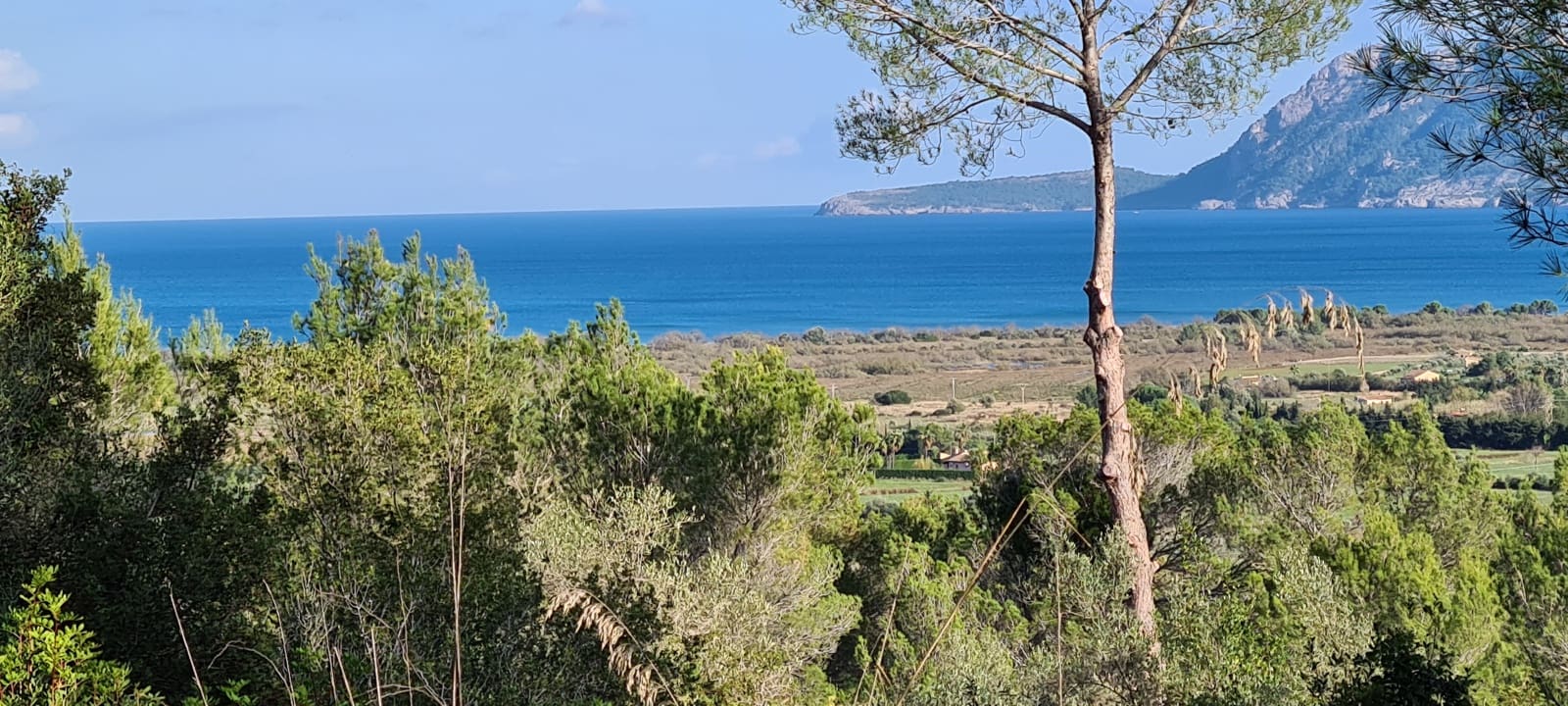 1 soveværelse Finca/Landehus til salg i Pollensa / Pollenca - € 1.800.000 (Ref: 7100646)
