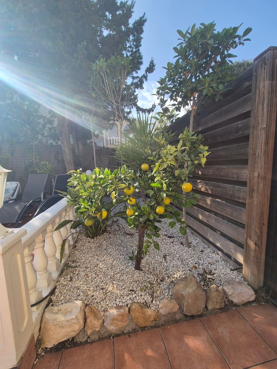 5 quarto Moradia para venda em San Miguel de Salinas com piscina - 445 000 € (Ref: 8634226)