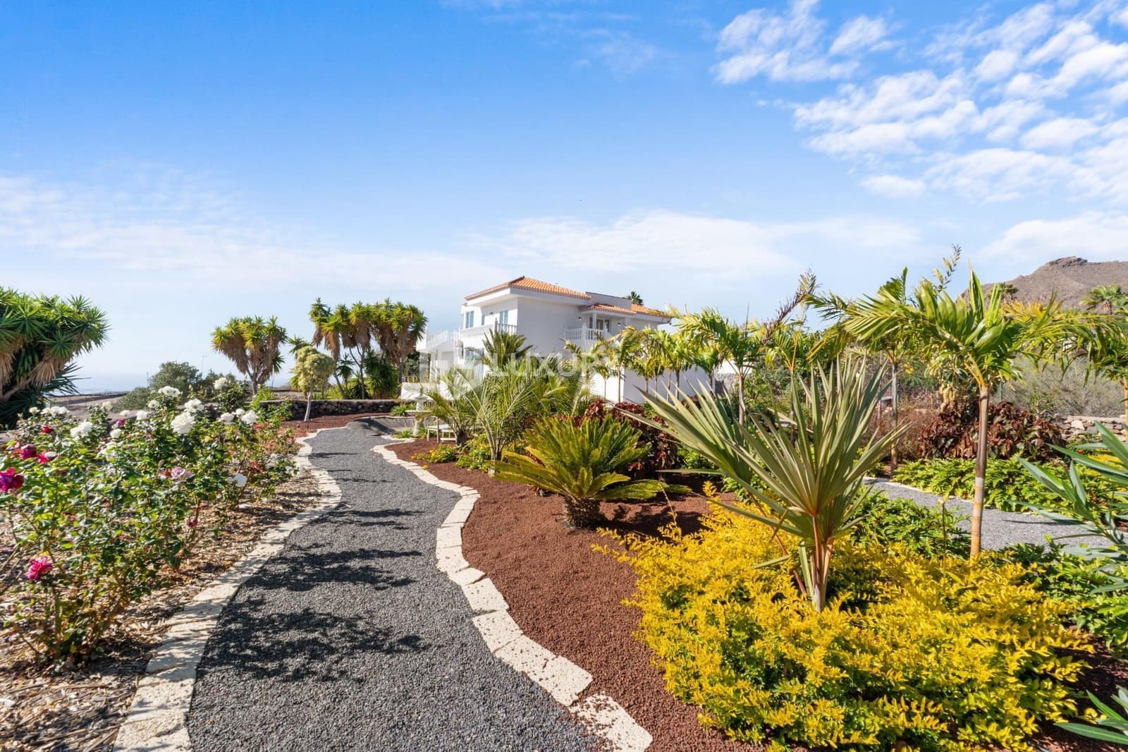 5 soveværelse Finca/Landehus til salg i San Miguel de Abona med swimmingpool garage - € 1.950.000 (Ref: 9208508)