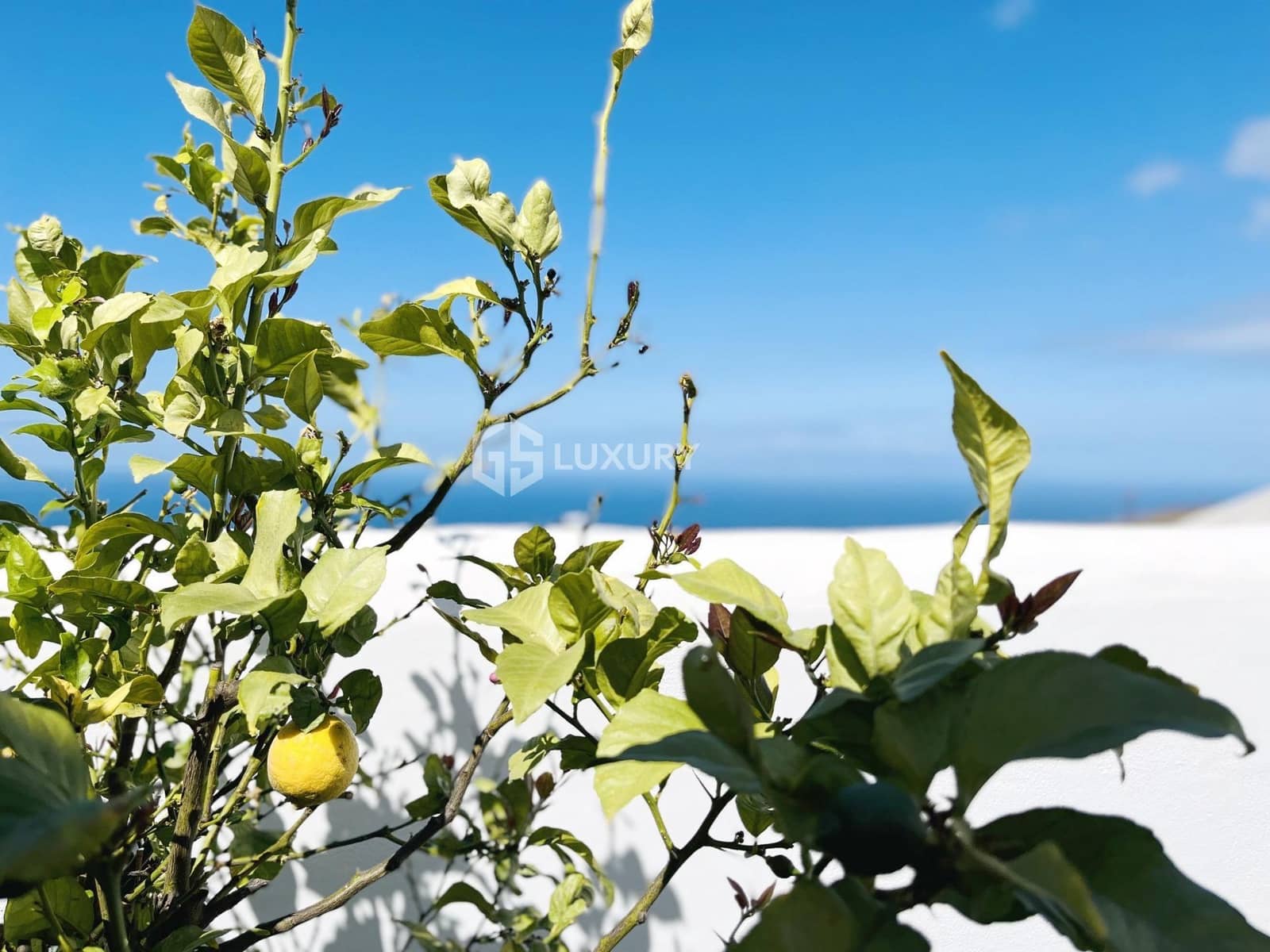 5 quarto Moradia para venda em Costa Adeje com piscina garagem - 2 200 000 € (Ref: 9470630)