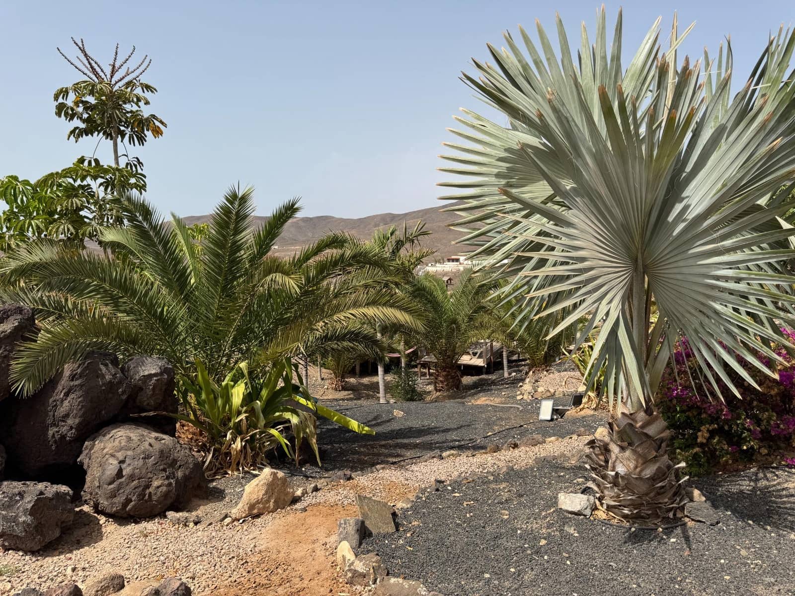 5 makuuhuone Huvila myytävänä paikassa Tuineje mukana uima-altaan 
autotalli - 969 000 € (Ref: 9499046)