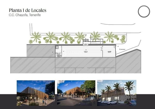 Empresa para venda em Chayofa, Arona - 1 500 000 € (Ref: 9676069)