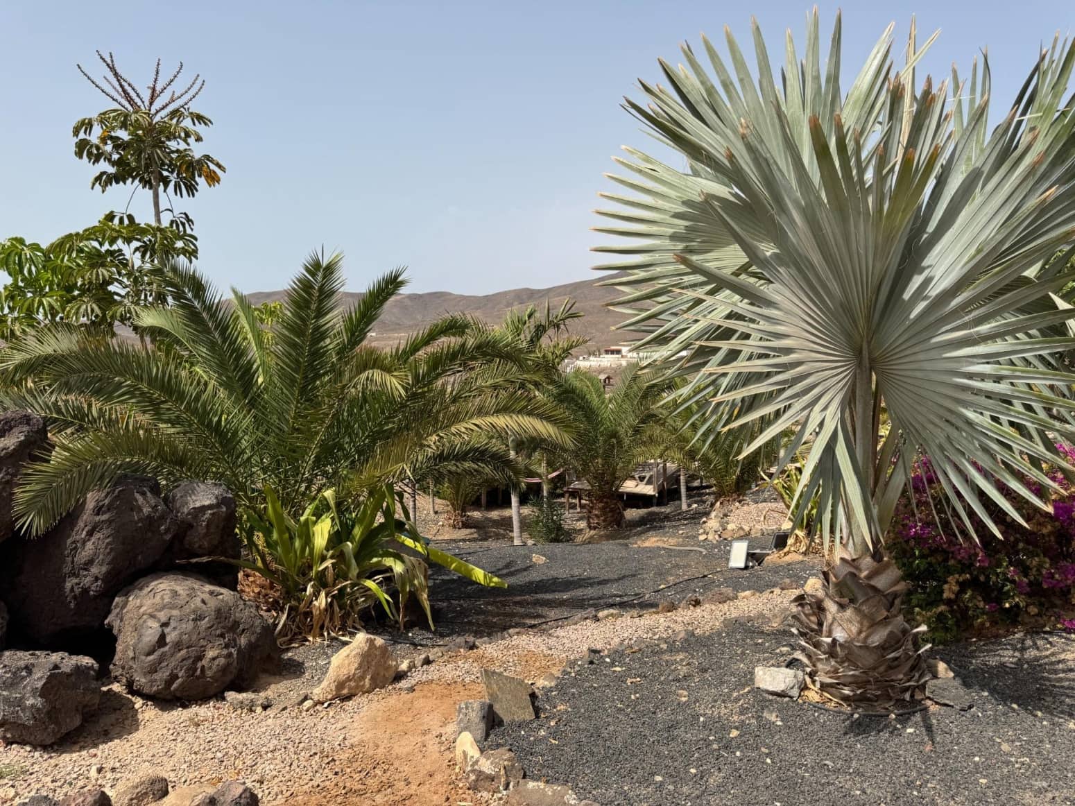 5 bedroom Villa for sale in Tuineje with garage - € 969,000 (Ref: 9676093)