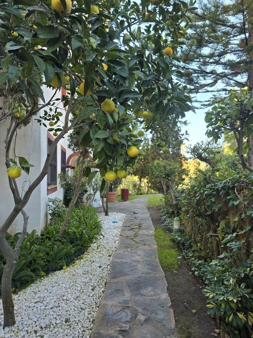 3 sovrum Lägenhet att hyra i Marbella med pool garage - 2 300 € (Ref: 9543961)