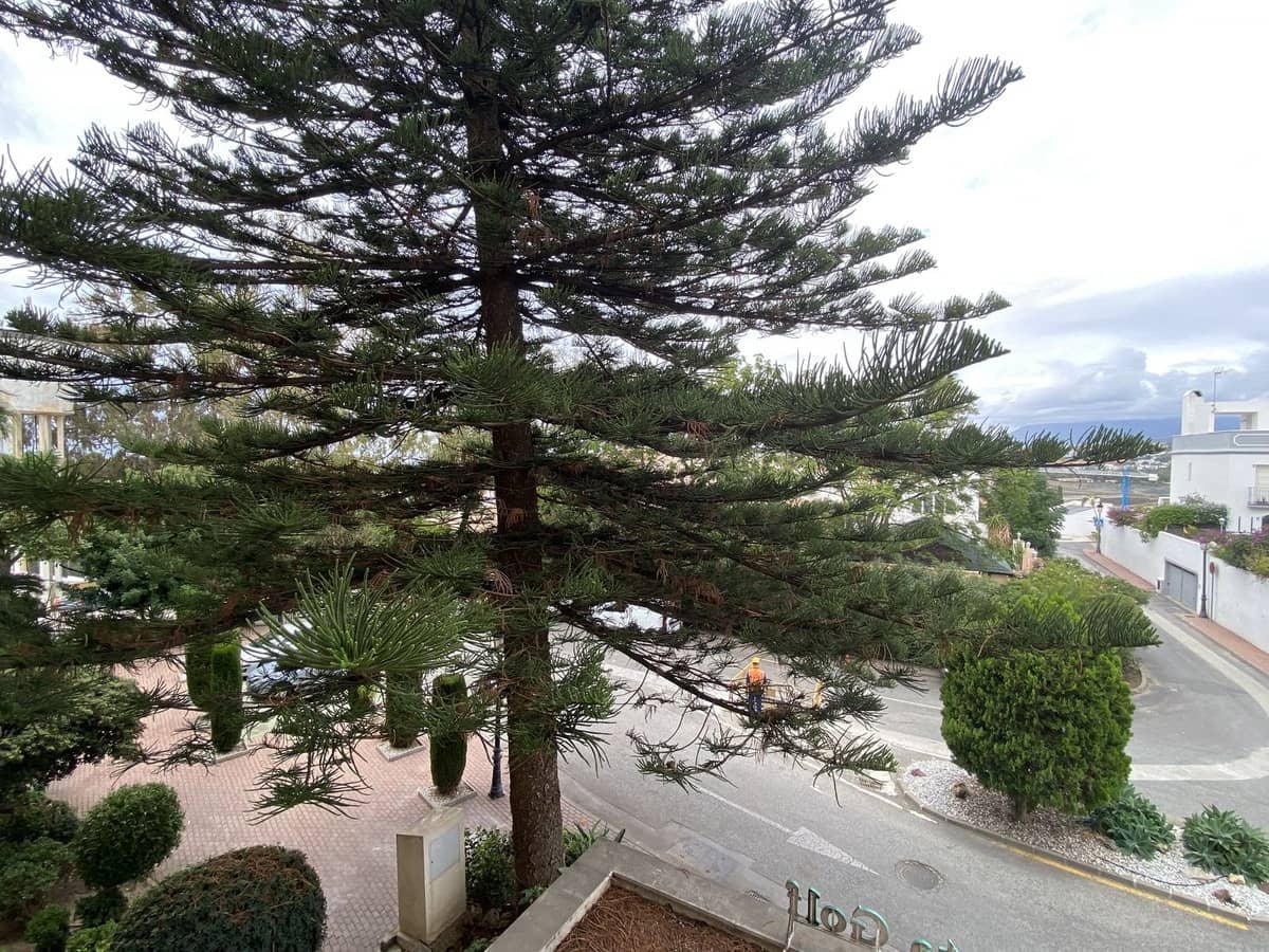 1 soveværelse Lejlighed til salg i Estepona med swimmingpool garage - € 235.000 (Ref: 8802375)