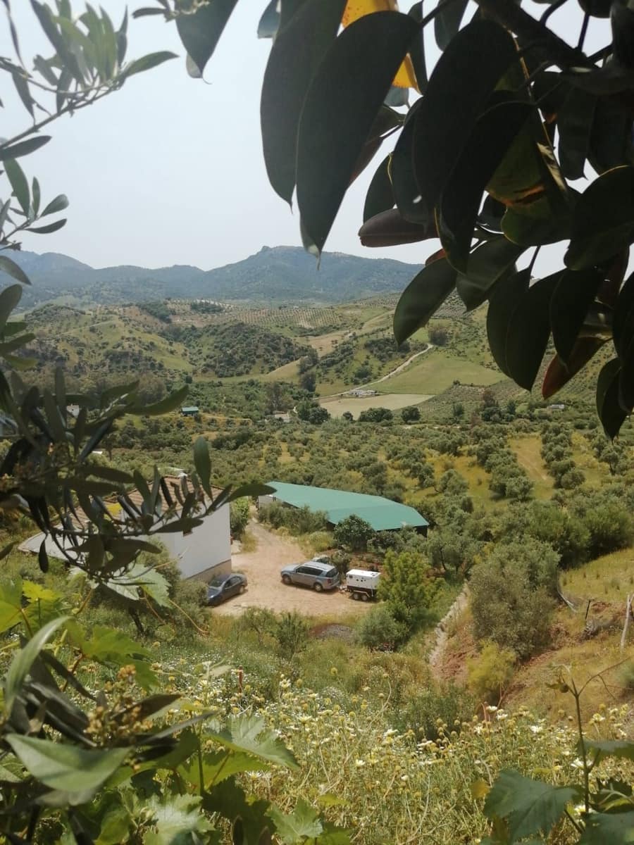 6 bedroom Townhouse for sale in Algodonales with garage - € 226,000 (Ref: 9084924)