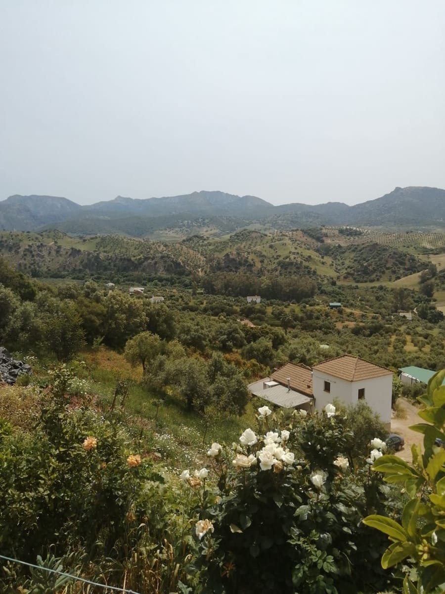 6 bedroom Townhouse for sale in Algodonales with garage - € 226,000 (Ref: 9084924)