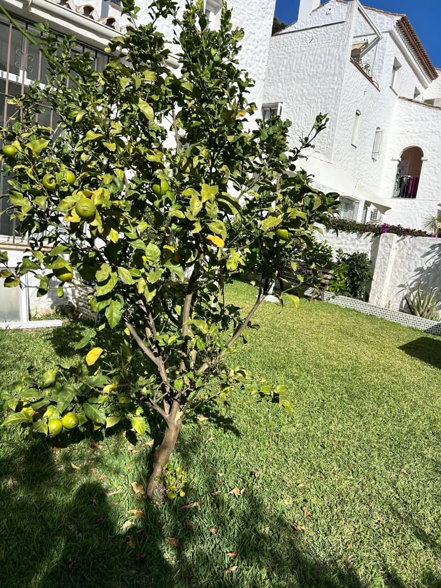 2 bedroom Apartment for sale in El Paraiso with pool - € 299,000 (Ref: 9720482)