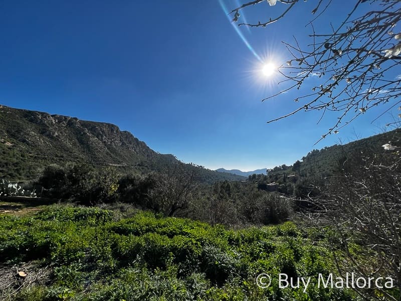 3 camera da letto Finca/Casa di Campagna in vendita in Andratx con garage - 798.000 € (Rif: 6987422)