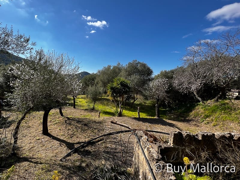 2 sypialnia Finka/Dom wiejski na sprzedaż w Andratx z garażem - 690 000 € (Ref: 7471904)