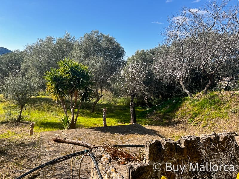 2 sypialnia Finka/Dom wiejski na sprzedaż w Andratx z garażem - 690 000 € (Ref: 7471904)