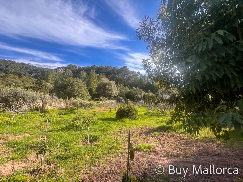 3 soverom Finca/Herregård til salgs i Andratx med svømmebasseng - € 1 650 000 (Ref: 8790180)