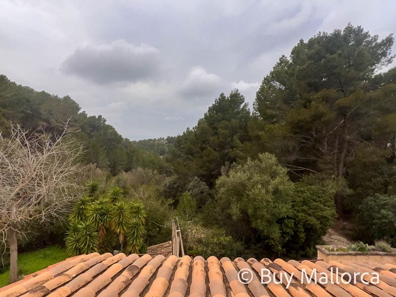 4 sypialnia Finka/Dom wiejski na sprzedaż w L'Arraco / S'Arraco z basenem garażem - 1 390 000 € (Ref: 8872863)