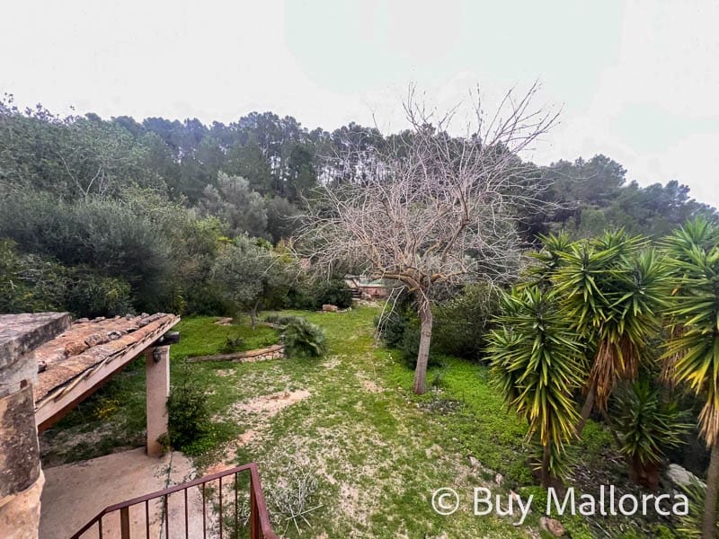 4 sypialnia Finka/Dom wiejski na sprzedaż w L'Arraco / S'Arraco z basenem garażem - 1 390 000 € (Ref: 8872863)