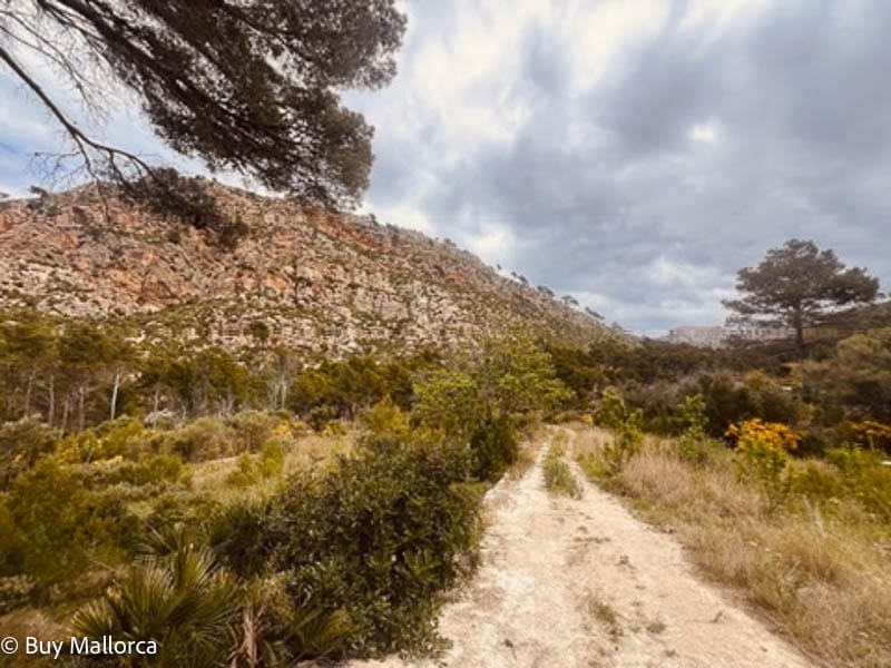 2 quarto Quinta/Casa Rural para venda em Andratx com garagem - 605 000 € (Ref: 8951924)