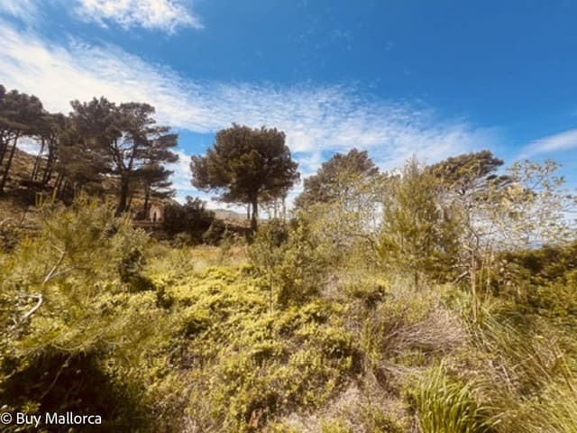 2 quarto Quinta/Casa Rural para venda em Andratx com garagem - 605 000 € (Ref: 8951924)