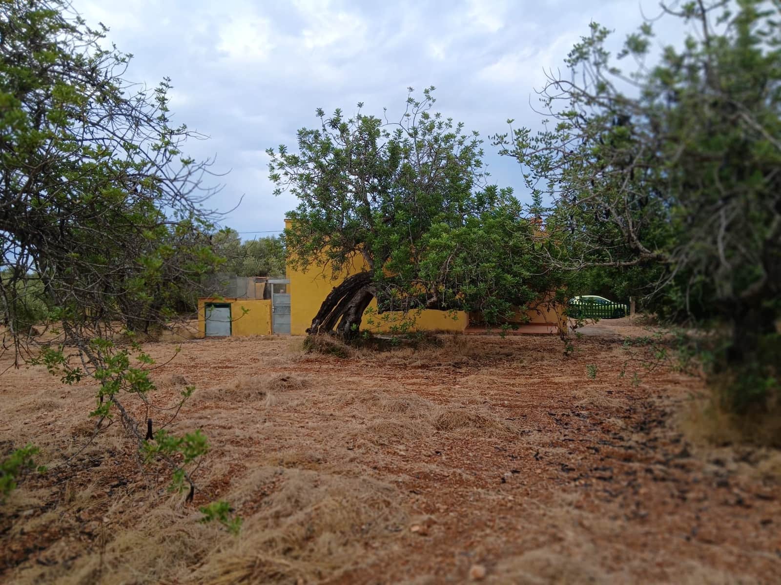 Terreno para Construção para venda em Peniscola - 260 000 € (Ref: 10086746)