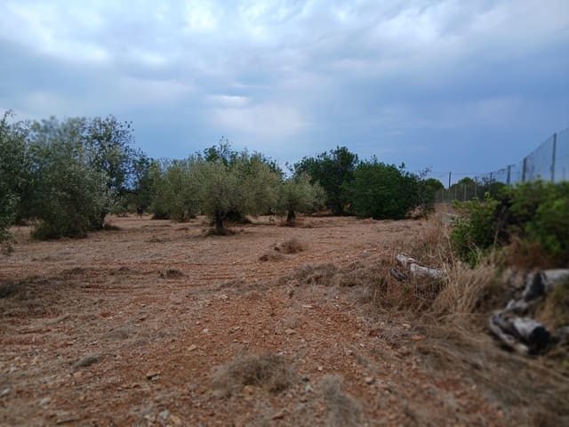 Bouwgrond te koop in Peñíscola - € 260.000 (Ref: 10086746)