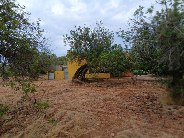 Bouwgrond te koop in Peñíscola - € 260.000 (Ref: 10086746)