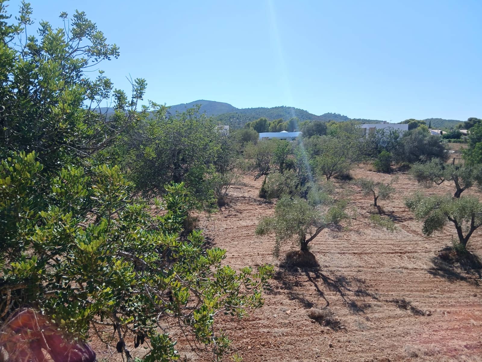 Terreno para Construção para venda em Peniscola - 260 000 € (Ref: 10086746)