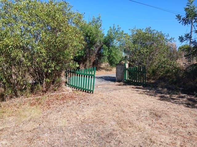 Bouwgrond te koop in Peñíscola - € 260.000 (Ref: 10086746)