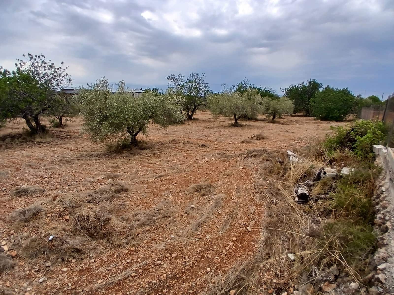 Terreno para Construção para venda em Peniscola - 260 000 € (Ref: 10086746)