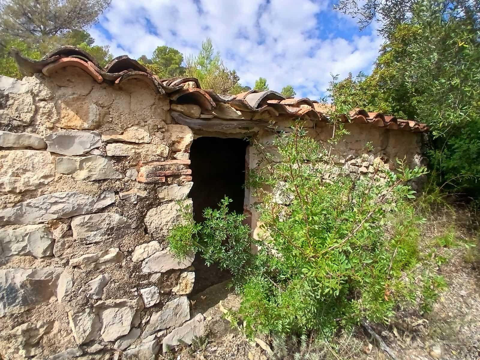 6 Zimmer Finca/Landgut zu verkaufen in Sierra Engarceran mit Garage - 275.000 € (Ref: 10130564)