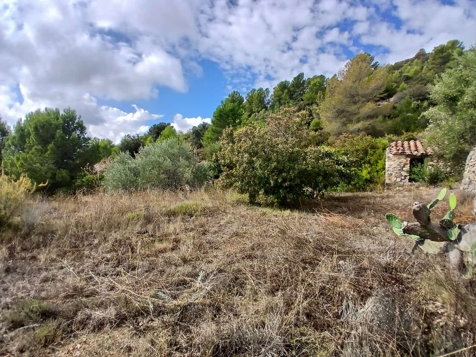 6 Zimmer Finca/Landgut zu verkaufen in Sierra Engarceran mit Garage - 275.000 € (Ref: 10130564)