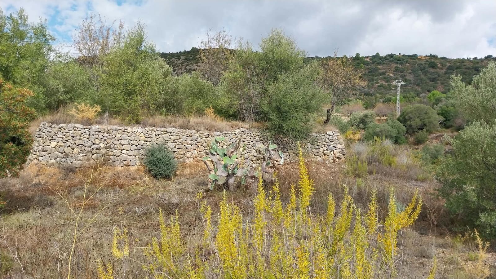 6 Zimmer Finca/Landgut zu verkaufen in Sierra Engarceran mit Garage - 275.000 € (Ref: 10130564)