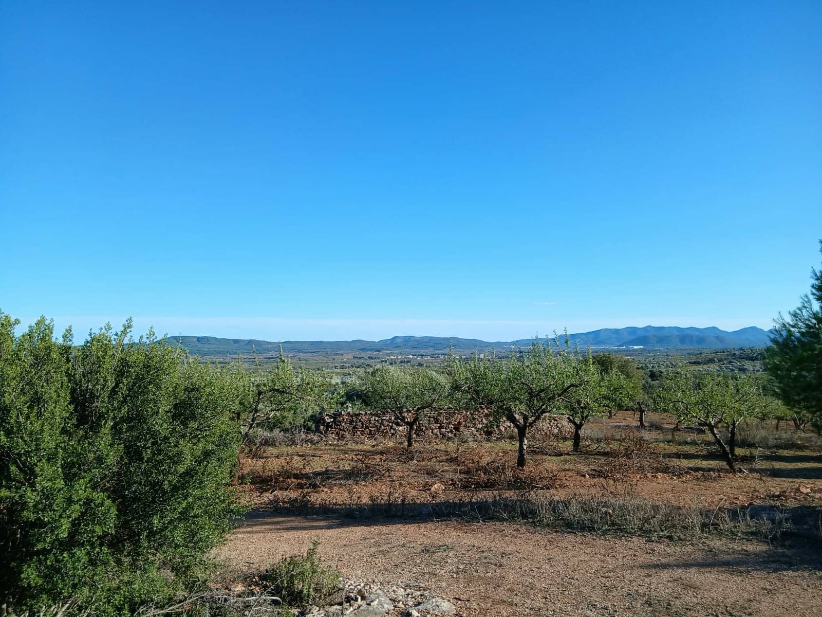 3 quarto Quinta/Casa Rural para venda em Benlloch com garagem - 99 500 € (Ref: 10172298)