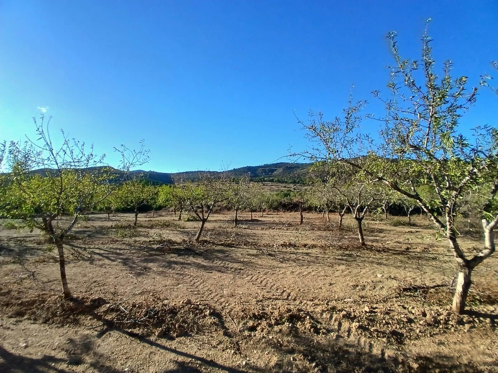 3 quarto Quinta/Casa Rural para venda em Benlloch com garagem - 99 500 € (Ref: 10172298)
