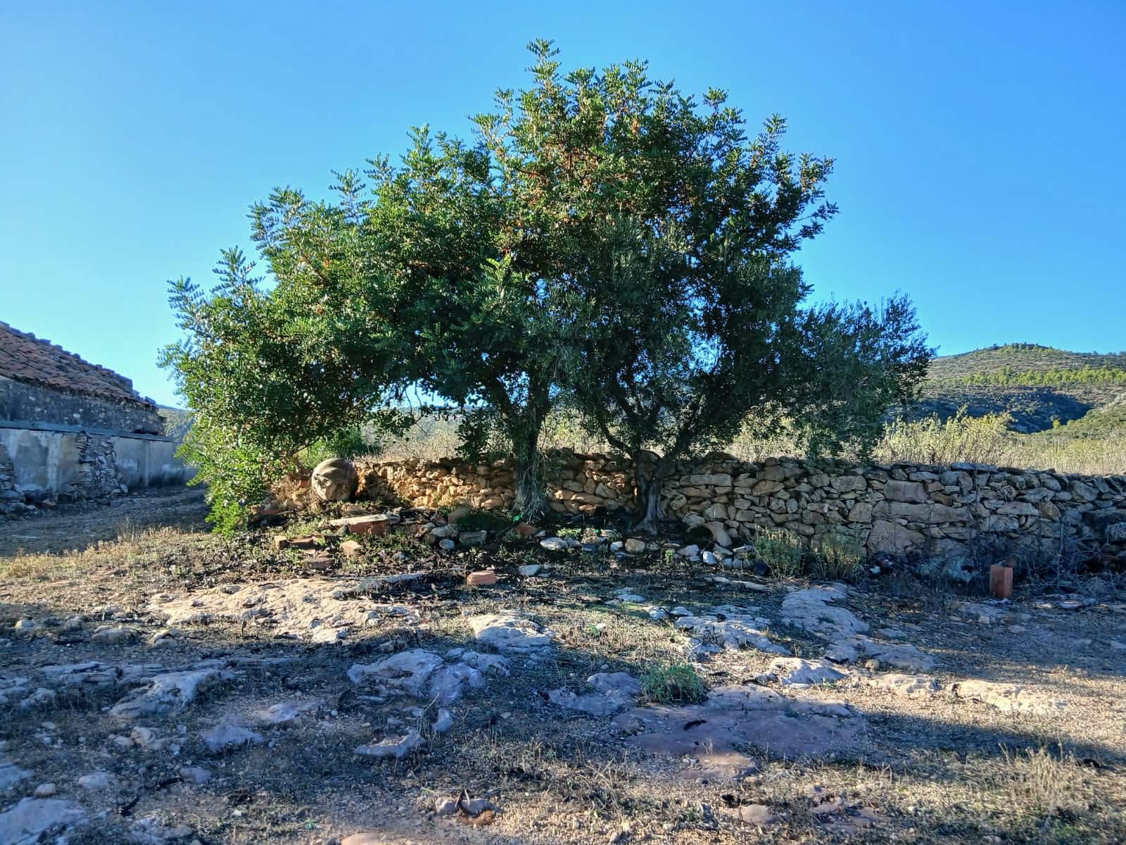 3 quarto Quinta/Casa Rural para venda em Benlloch com garagem - 99 500 € (Ref: 10172298)